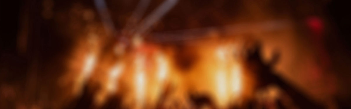 小粉世界网页版